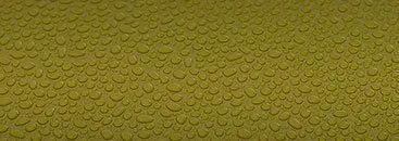 Hydrophobie